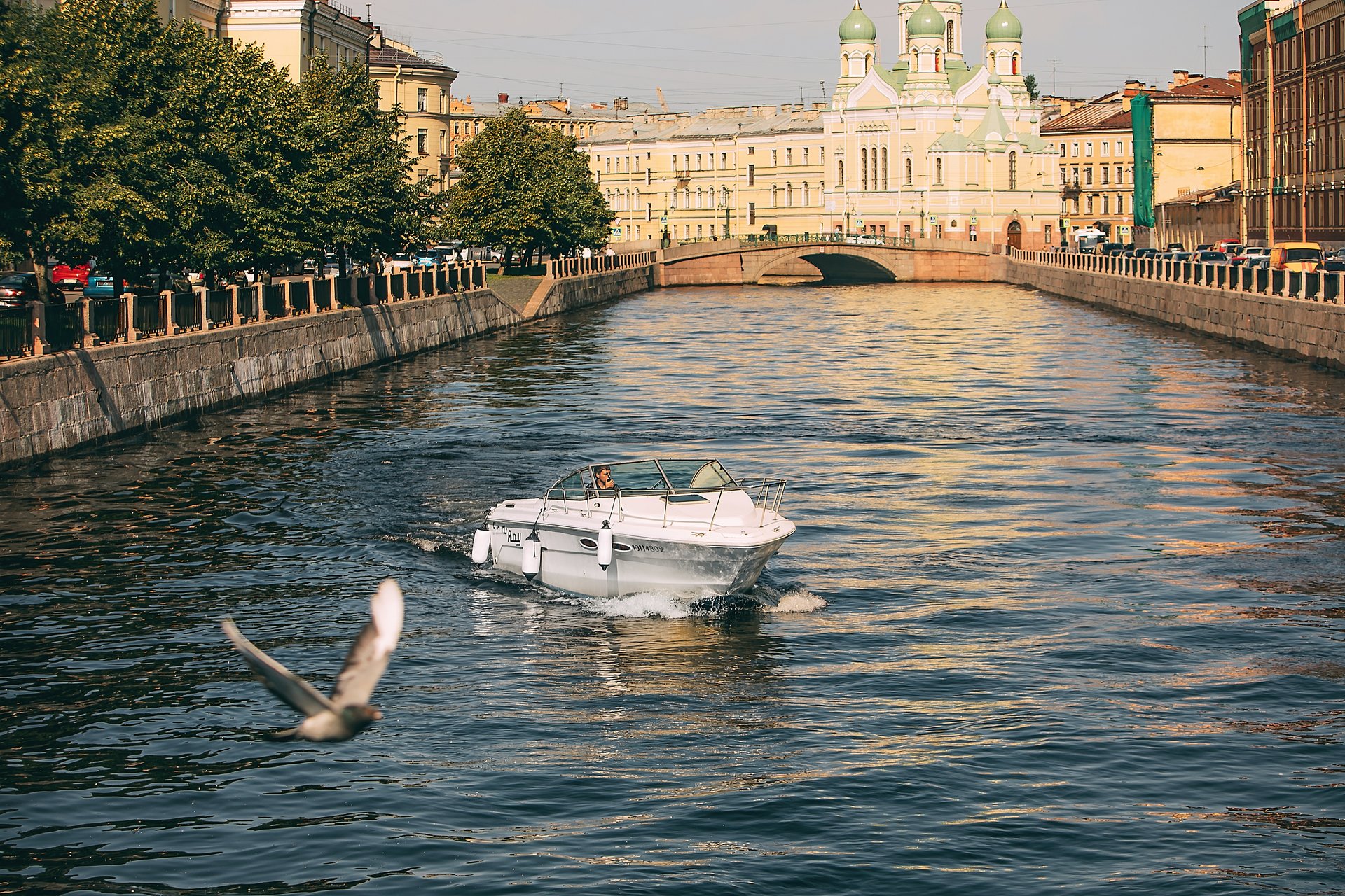 Гарибальди (Searay 250) — фото 15