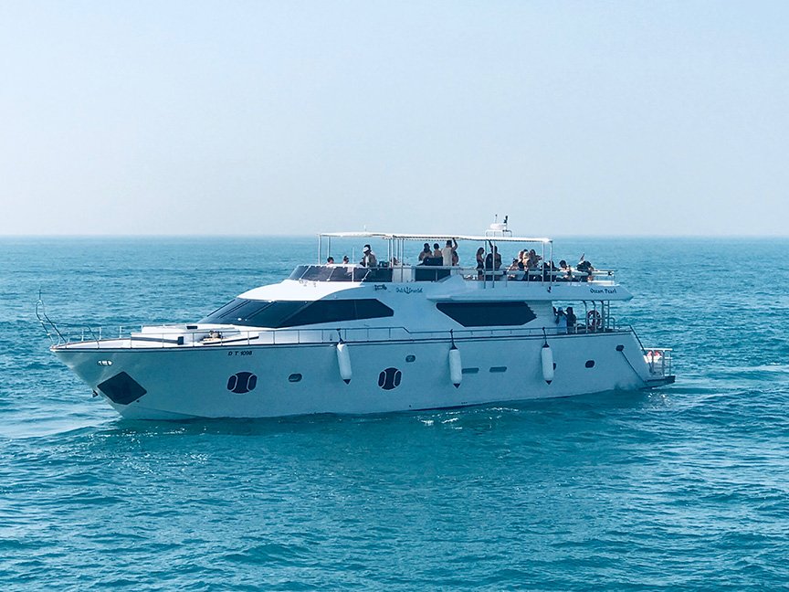 OCEAN PEARL 95 (от 2 часов) — фото 2
